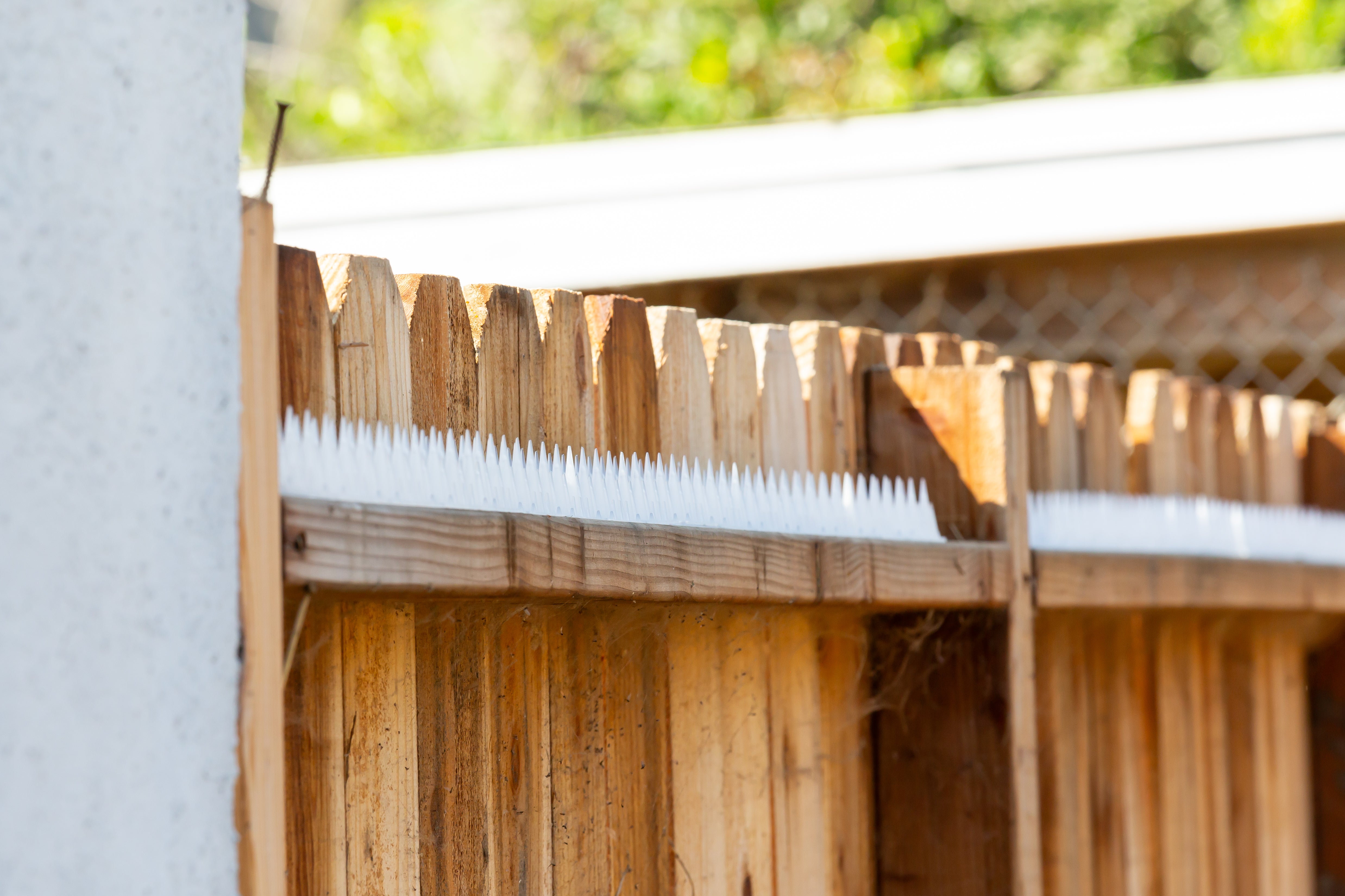 Repair Rodent Spikes After Storms Easily